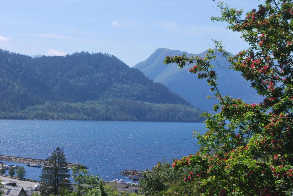 Sjoholt Camping Buitenkant foto