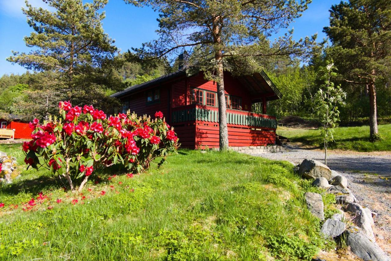 Sjoholt Camping Buitenkant foto