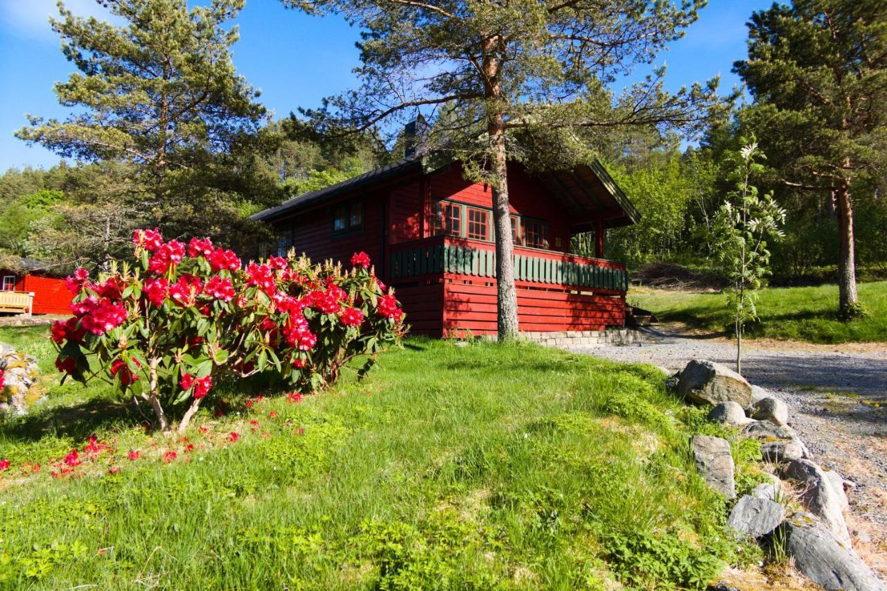 Sjoholt Camping Villa Buitenkant foto